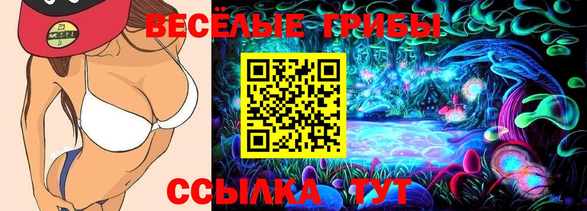Галлюциногенные грибы GOLDEN TEACHER  Вход с VPN  Всеволожск  Псилоцибиновые грибы Magic Shrooms 